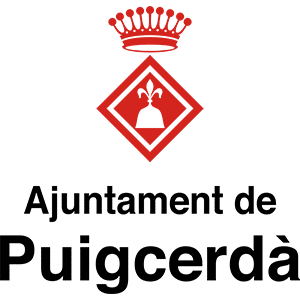 Curling Puigcerdà